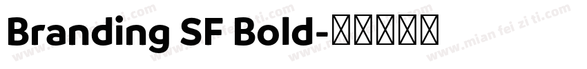 Branding SF Bold字体转换
